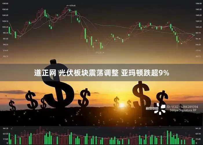 道正网 光伏板块震荡调整 亚玛顿跌超9%