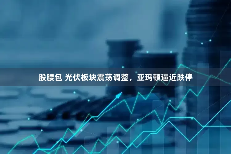 股腰包 光伏板块震荡调整，亚玛顿逼近跌停
