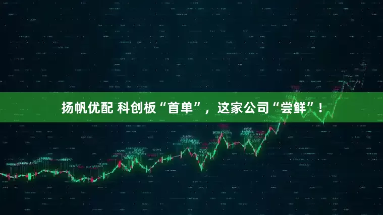扬帆优配 科创板“首单”，这家公司“尝鲜”！